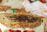 Warm Mediterranean Turkey Hummus Panini