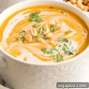Velvety Butternut Curry Dream 8 Curried Butternut Squash Soup 1200 x 1200