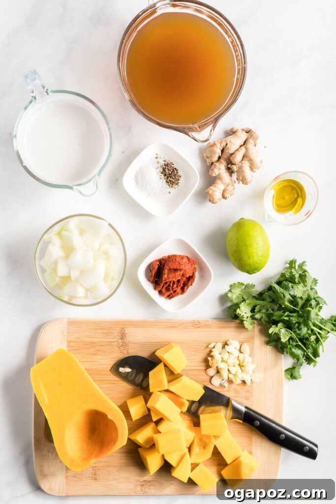 Velvety Butternut Curry Dream 3 A selection of fresh ingredients laid out for Curried Butternut Squash Soup, including cubed squash, garlic, ginger, cilantro, lime, and a can of coconut milk.