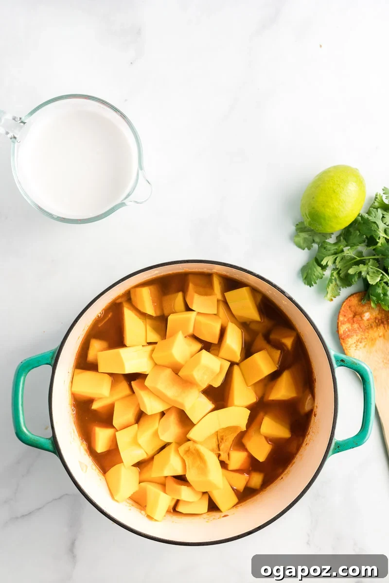 Velvety Butternut Curry Dream 6 Cubed butternut squash and vegetable broth added to a pot with sautéed aromatics and curry paste, ready to simmer.