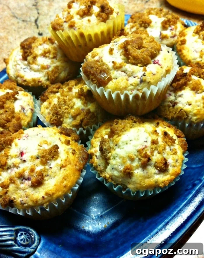Cranberry Muffins with Spiced Brown Sugar Crumble 2 Cranberry Muffins with Cinnamon Struesel Topping