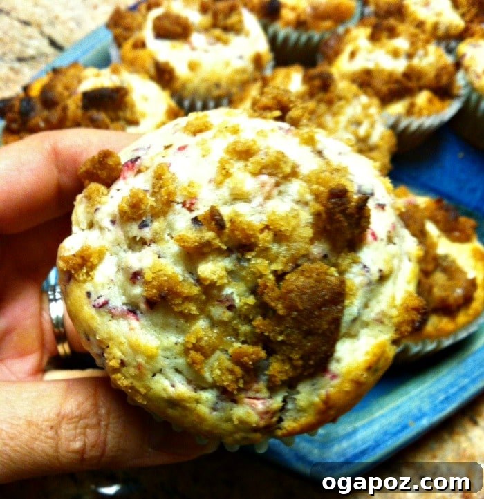Cranberry Muffins with Spiced Brown Sugar Crumble 3 Cranberry Muffins