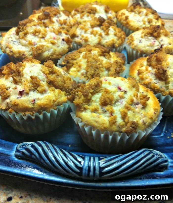 Cranberry Muffins with Spiced Brown Sugar Crumble 4 Cranberry Muffins