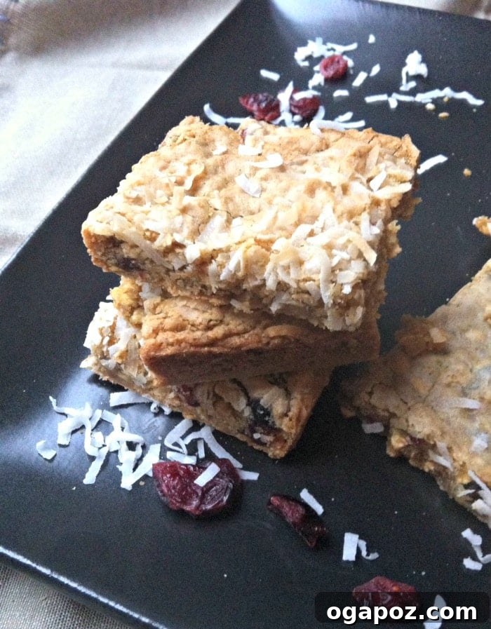 Kid-Approved Chewy Coconut Cranberry Granola Bars 6 Another enticing shot of Chewy Coconut Cranberry Oatmeal Bars, highlighting their inviting texture and ingredients
