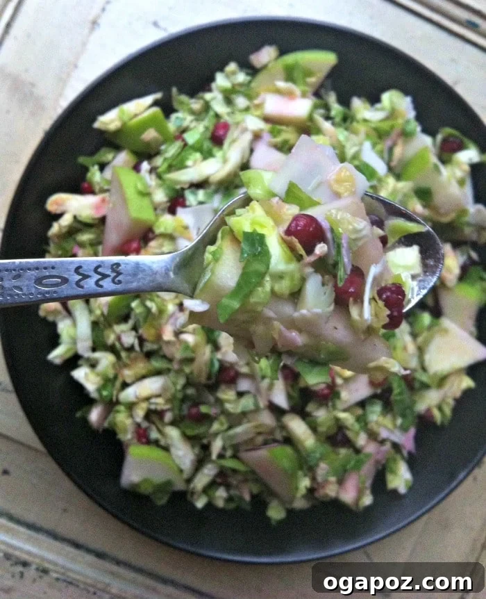 Crisp Shaved Brussels Sprout Salad with Apple and Pomegranate 2 Vibrant Shaved Brussels Sprout Salad with Apple and Pomegranate recipe