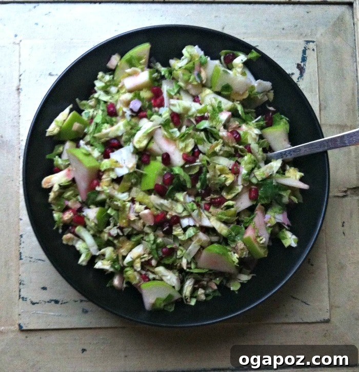 Crisp Shaved Brussels Sprout Salad with Apple and Pomegranate 5 Bowl of Shaved Brussels Sprout Salad With Apple and Pomegranate ready to serve