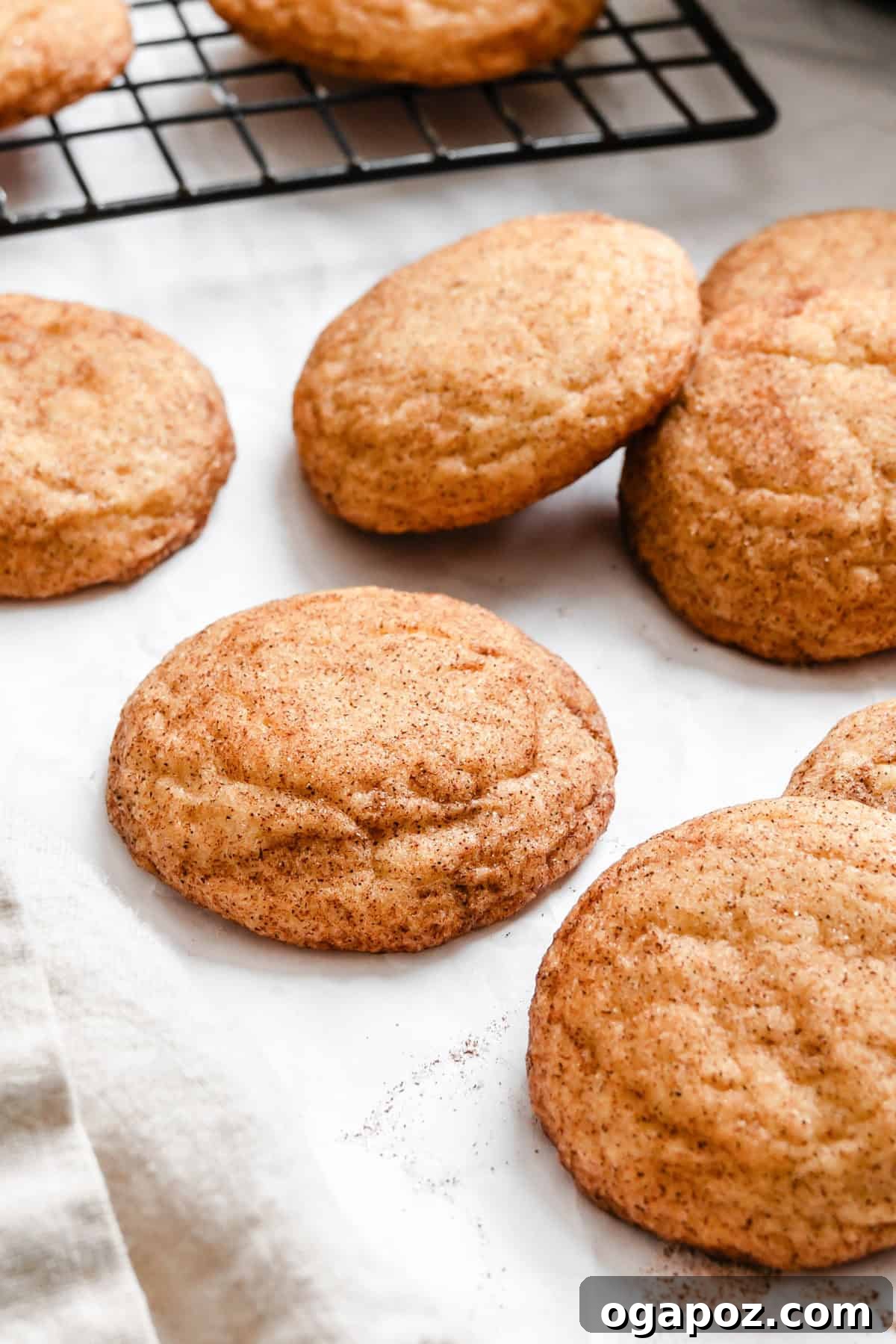 Effortless Snickerdoodles 2 Easy Snickerdoodle Recipe on white paper