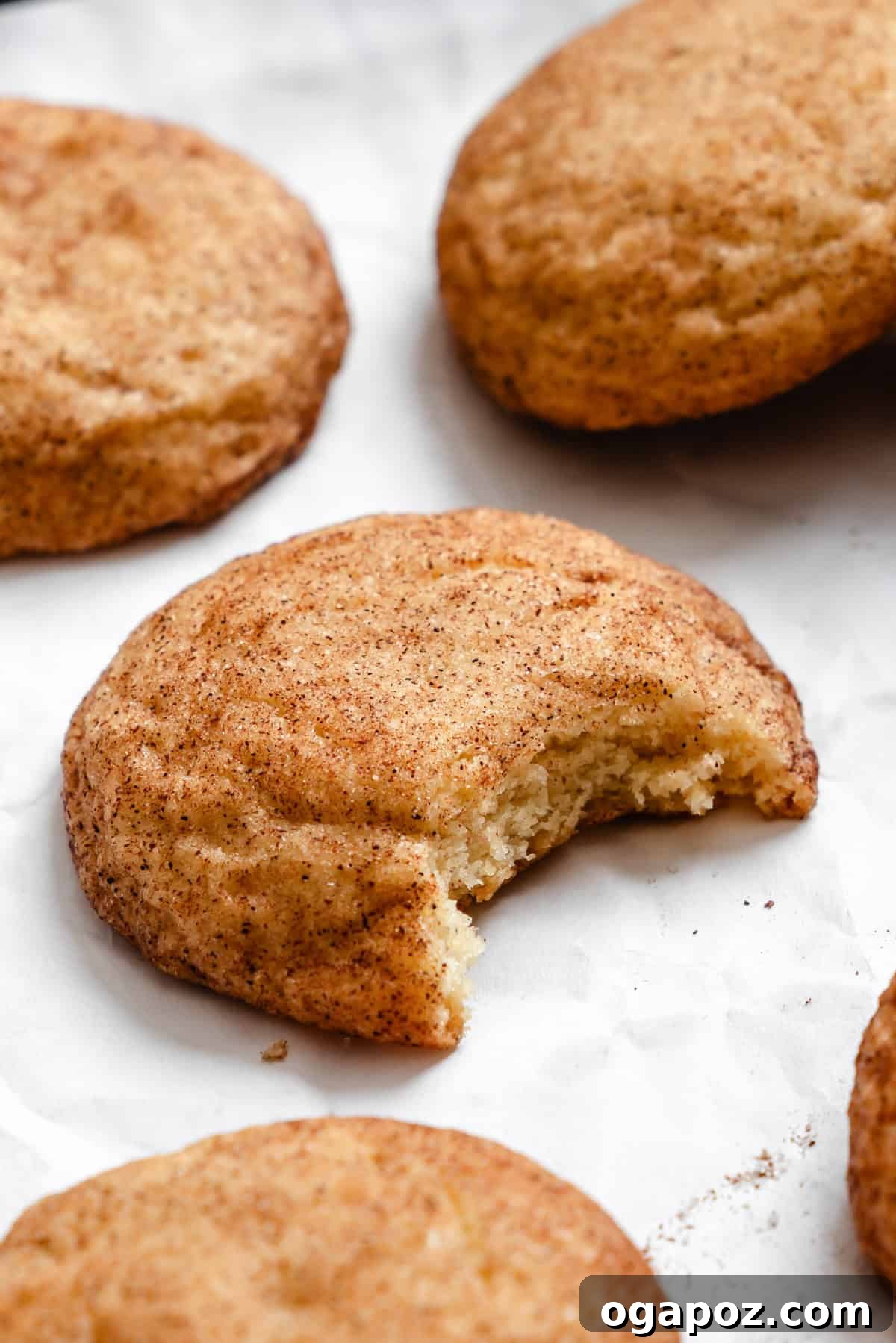 Effortless Snickerdoodles 12 Easy Snickerdoodle Recipe with bite mark