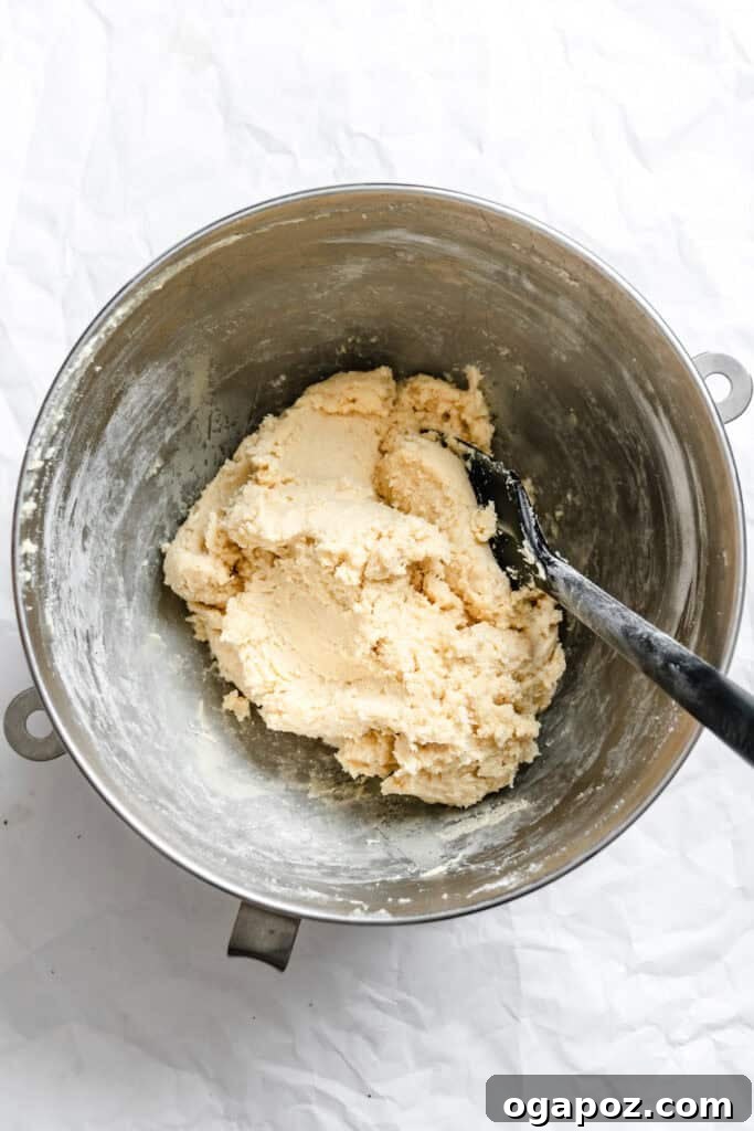 Effortless Snickerdoodles 9 Easy Snickerdoodle Recipe dough in bowl