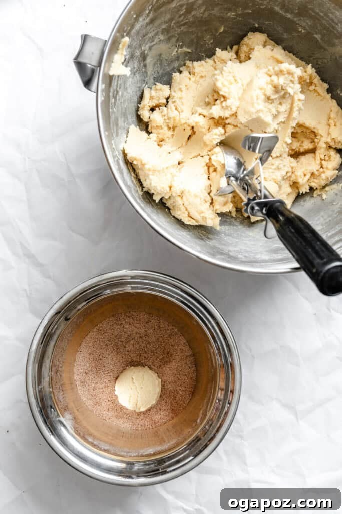 Effortless Snickerdoodles 10 Easy Snickerdoodle Recipe dough in sugar