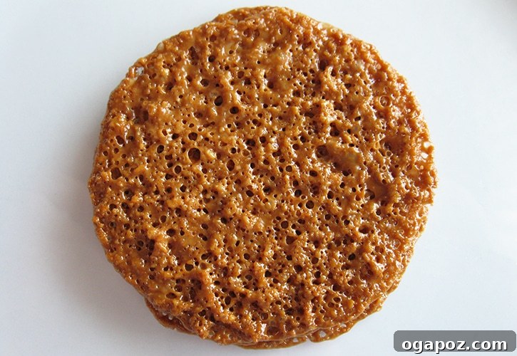 26 Must-Try Holiday Delights 3 An exquisite plate of delicate Florentine Lace Cookies, showcasing their intricate design and sophisticated appeal as a gourmet holiday dessert.