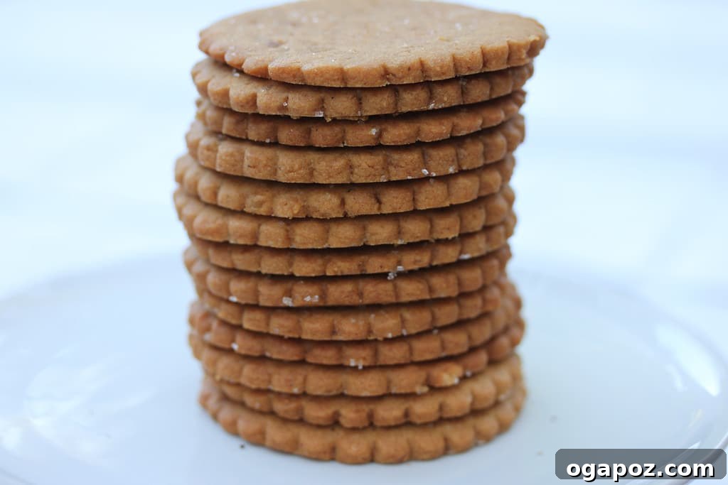26 Must-Try Holiday Delights 4 A close-up shot of deliciously spiced Homemade Gingersnaps, showcasing their classic crackled tops and inviting texture, a perfect festive cookie.
