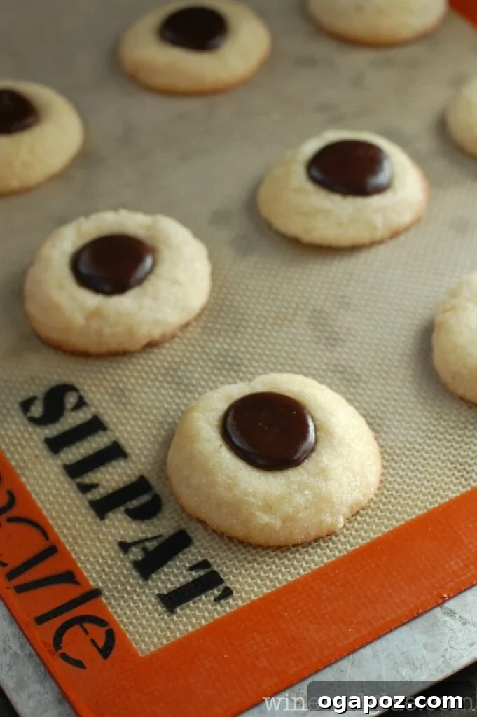 26 Must-Try Holiday Delights 5 A mouth-watering close-up of delicious Mexican Chocolate Thumbprint Cookies, elegantly filled with chocolate, a unique holiday dessert idea.