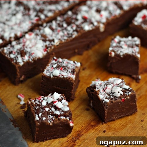 26 Must-Try Holiday Delights 7 Rich and creamy Peppermint Mocha Fudge, expertly crafted with layers of chocolate and mint, a truly decadent holiday treat.