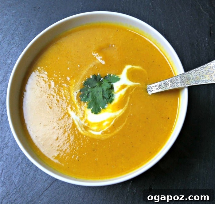 The 10 Recipes That Defined My 2013 Kitchen 12 Creamy Curried Coconut Butternut Squash Soup