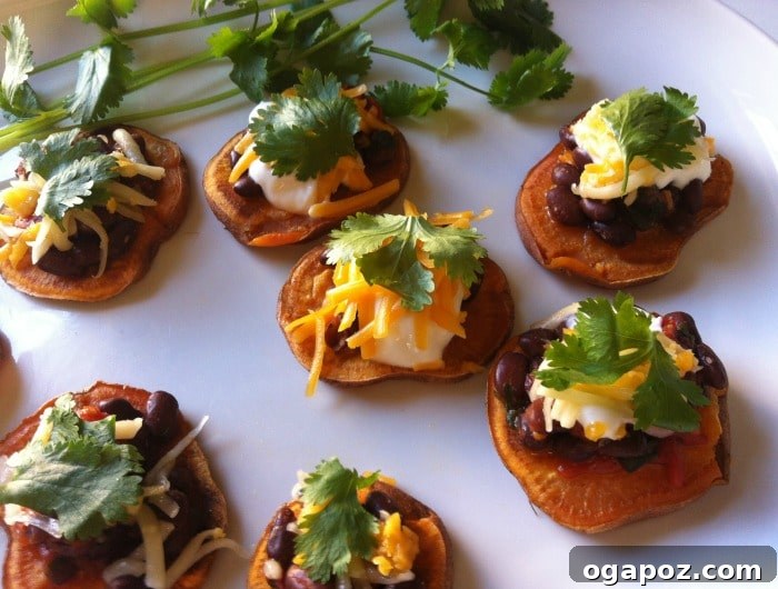 The 10 Recipes That Defined My 2013 Kitchen 5 Southwestern Sweet Potato Rounds Appetizer