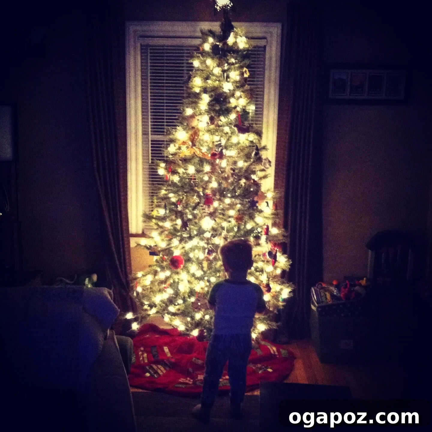 Holiday Sparkle and Festive Merriment 2 Toddler Will captivated by the sparkling Christmas tree lights and ornaments, experiencing the magic of the holiday season.