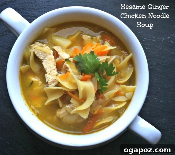Ginger Sesame Chicken Noodle Comfort 2 A vibrant bowl of Sesame Ginger Chicken Noodle Soup garnished with fresh cilantro and lime