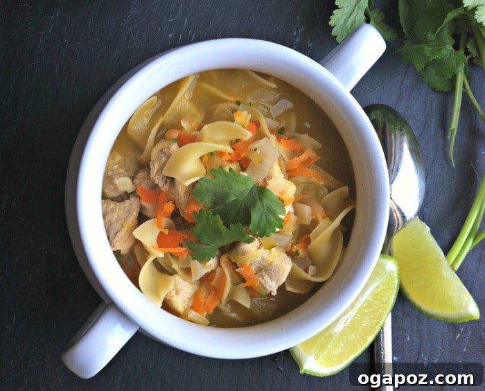 Ginger Sesame Chicken Noodle Comfort 3 Close-up shot of hearty Sesame Ginger Chicken Noodle Soup with wide egg noodles and shredded vegetables