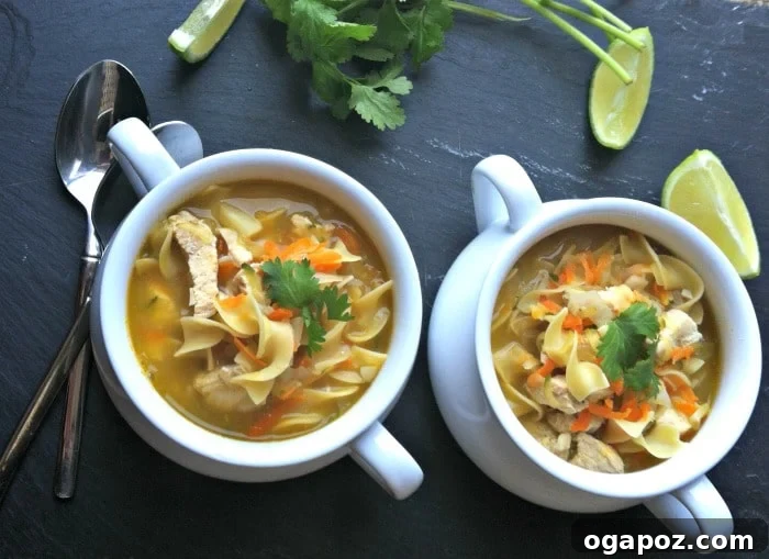 Ginger Sesame Chicken Noodle Comfort 4 A generous serving of Sesame Ginger Chicken Noodle Soup in a white bowl with a spoon