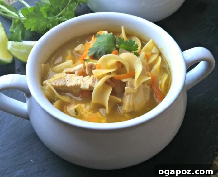 Ginger Sesame Chicken Noodle Comfort 5 Overhead view of a prepared bowl of Sesame Ginger Chicken Noodle Soup ready to be enjoyed
