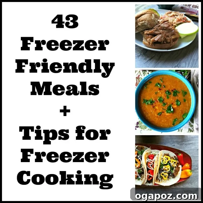 43 Time-Saving Freezer Meals and Essential Prep Tips 2 Assortment of freezer-friendly meals, neatly packaged in containers, ready to be stored in a freezer