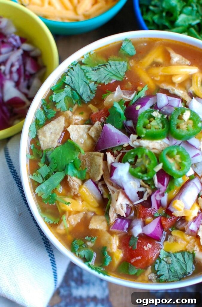 Effortless Fiesta Chicken Soup 3 Close-up of Slow Cooker Chicken Tortilla Soup, garnished with vibrant green cilantro leaves, showcasing its rich texture.
