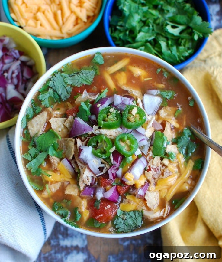 Effortless Fiesta Chicken Soup 4 Slow Cooker Chicken Tortilla Soup in a bowl with a spoon, highlighting its inviting texture.