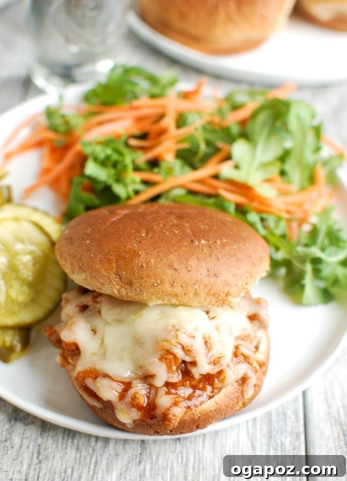 Twisted Turkey Sloppy Joes 2 Turkey Sloppy Joes with a toasted bun, garnished with fresh parsley.
