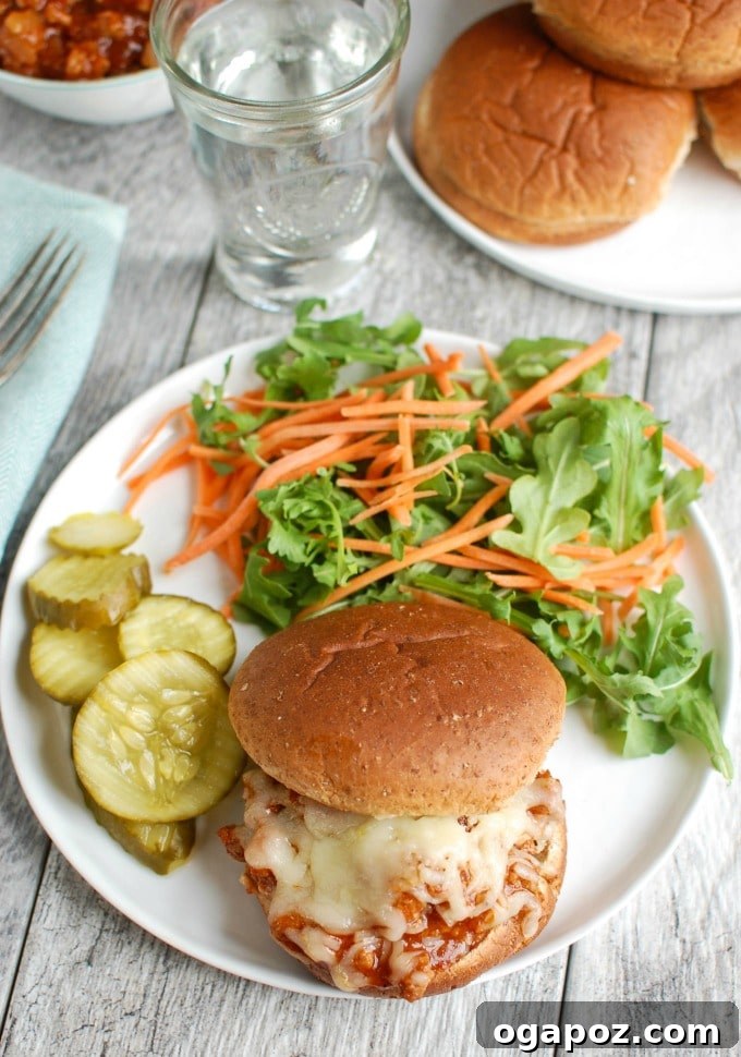 Twisted Turkey Sloppy Joes 3 Turkey Sloppy Joes served alongside a fresh green salad.