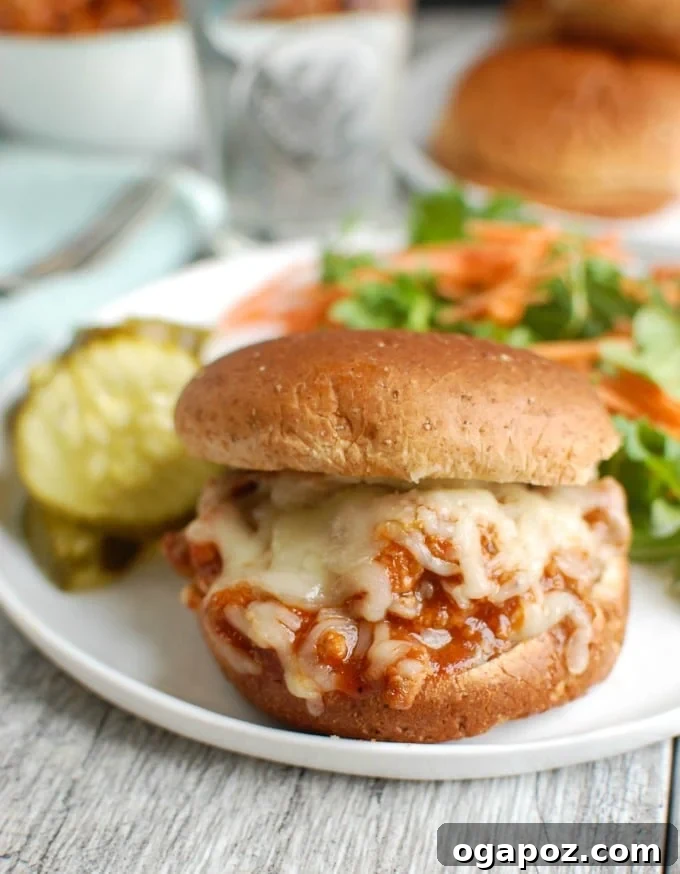 Twisted Turkey Sloppy Joes 5 A plate of Turkey Sloppy Joes served with a pickle and a side.