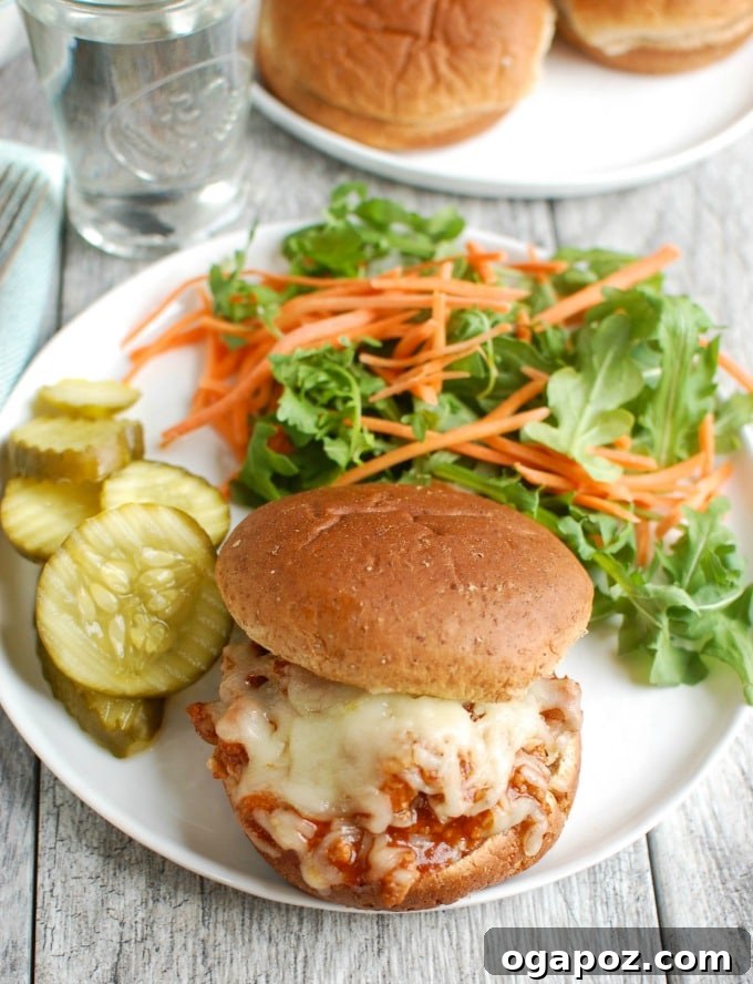 Twisted Turkey Sloppy Joes 6 A serving of Turkey Sloppy Joes on a bun, viewed from above.