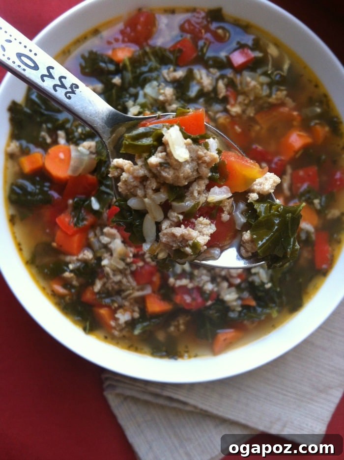 Hearty Turkey, Kale & Brown Rice Soup 4 Close-up of healthy Turkey, Kale and Brown Rice Soup with fresh ingredients