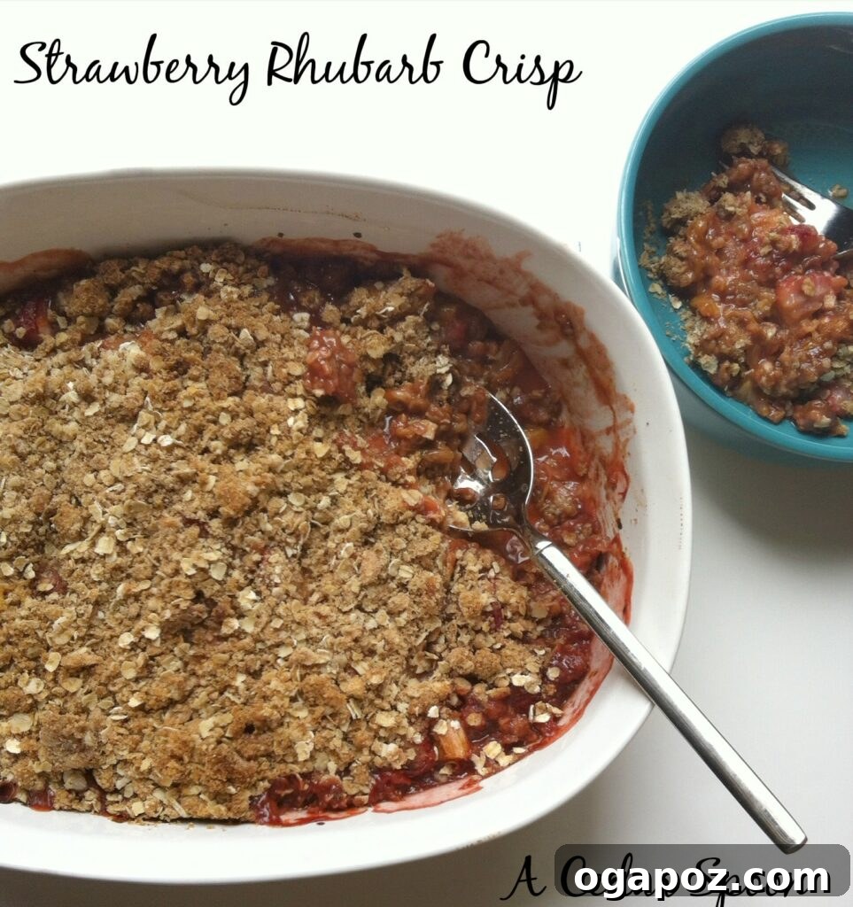 Celebrating Stephanie with Strawberry Rhubarb Crisp 3 Strawberry Rhubarb Crisp by A Cedar Spoon