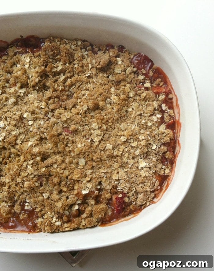 Celebrating Stephanie with Strawberry Rhubarb Crisp 4 Delicious Strawberry Rhubarb Crisp Dessert