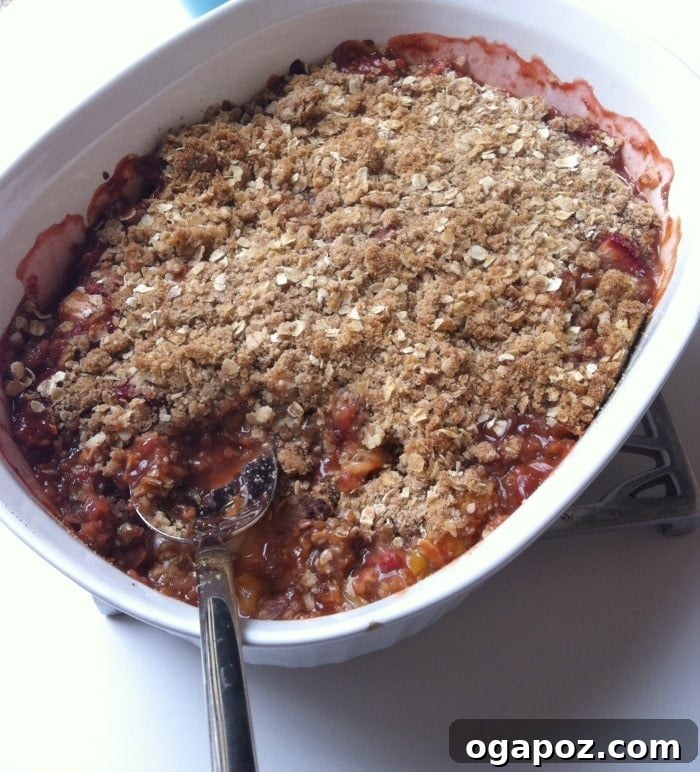 Celebrating Stephanie with Strawberry Rhubarb Crisp 5 Warm Strawberry Rhubarb Crisp with Oat Topping