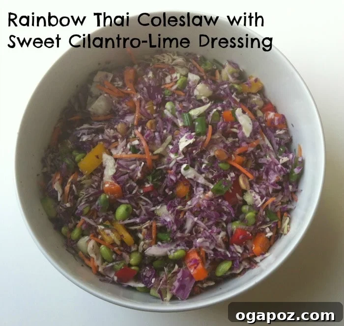 Rainbow Thai Slaw with Sweet and Tangy Cilantro Lime Dressing 2 Vibrant Rainbow Thai Coleslaw with Sweet Cilantro-Lime Dressing