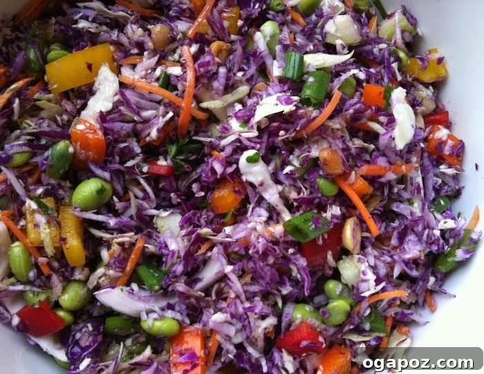 Rainbow Thai Slaw with Sweet and Tangy Cilantro Lime Dressing 6 Close-up of Rainbow Thai Coleslaw Ingredients