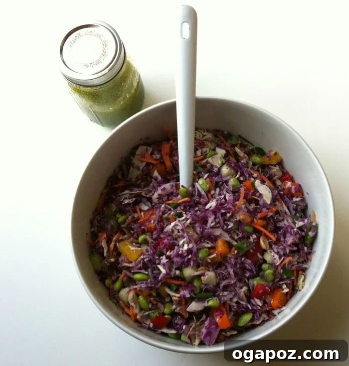 Rainbow Thai Slaw with Sweet and Tangy Cilantro Lime Dressing 7 Serving of Rainbow Thai Coleslaw with Sweet Cilantro-Lime Dressing