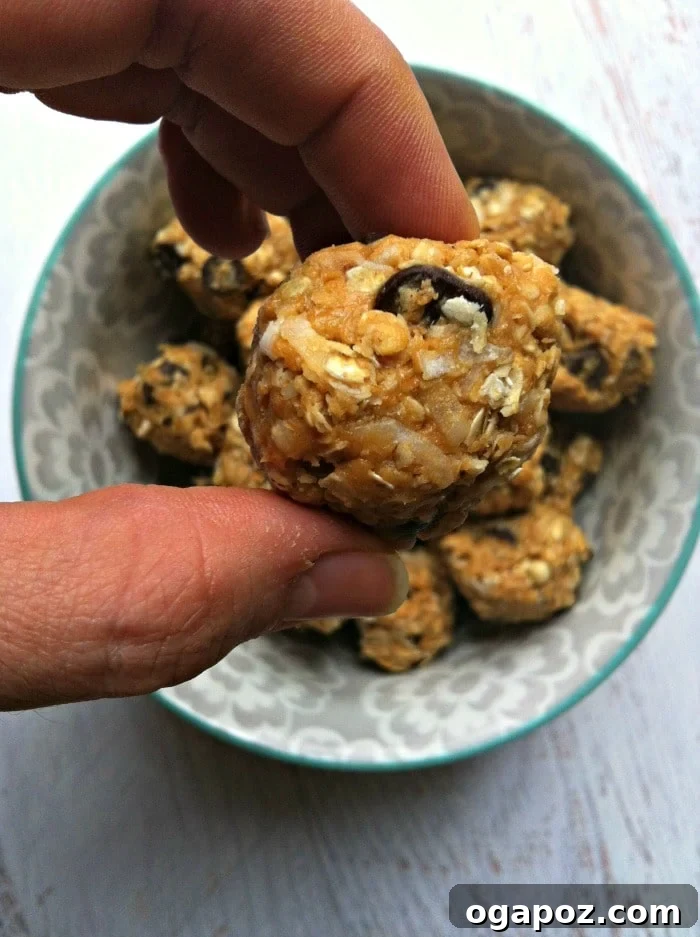 Peanut Butter Coconut Energy Bites 3 Close-up of a hand holding a single Peanut Butter Coconut Oatmeal Bite, showcasing its texture.