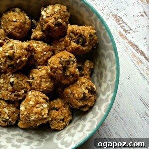 Peanut Butter Coconut Oatmeal Bites in a bowl, ready to be eaten.