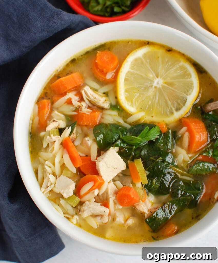 Zesty Lemon Chicken Orzo Soup 2 A steaming bowl of Lemon Chicken Orzo Soup with a spoonful ready to be eaten.