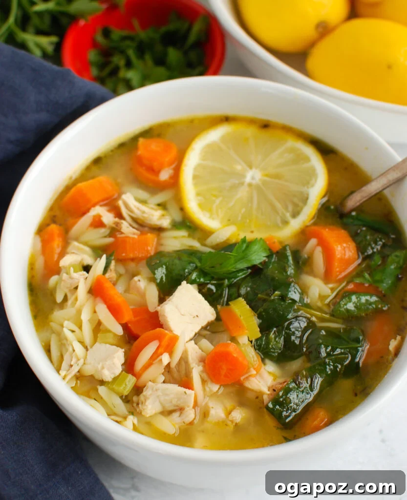 Zesty Lemon Chicken Orzo Soup 5 Close-up of Lemon Chicken Orzo Soup with a spoon, highlighting the pasta and chicken.