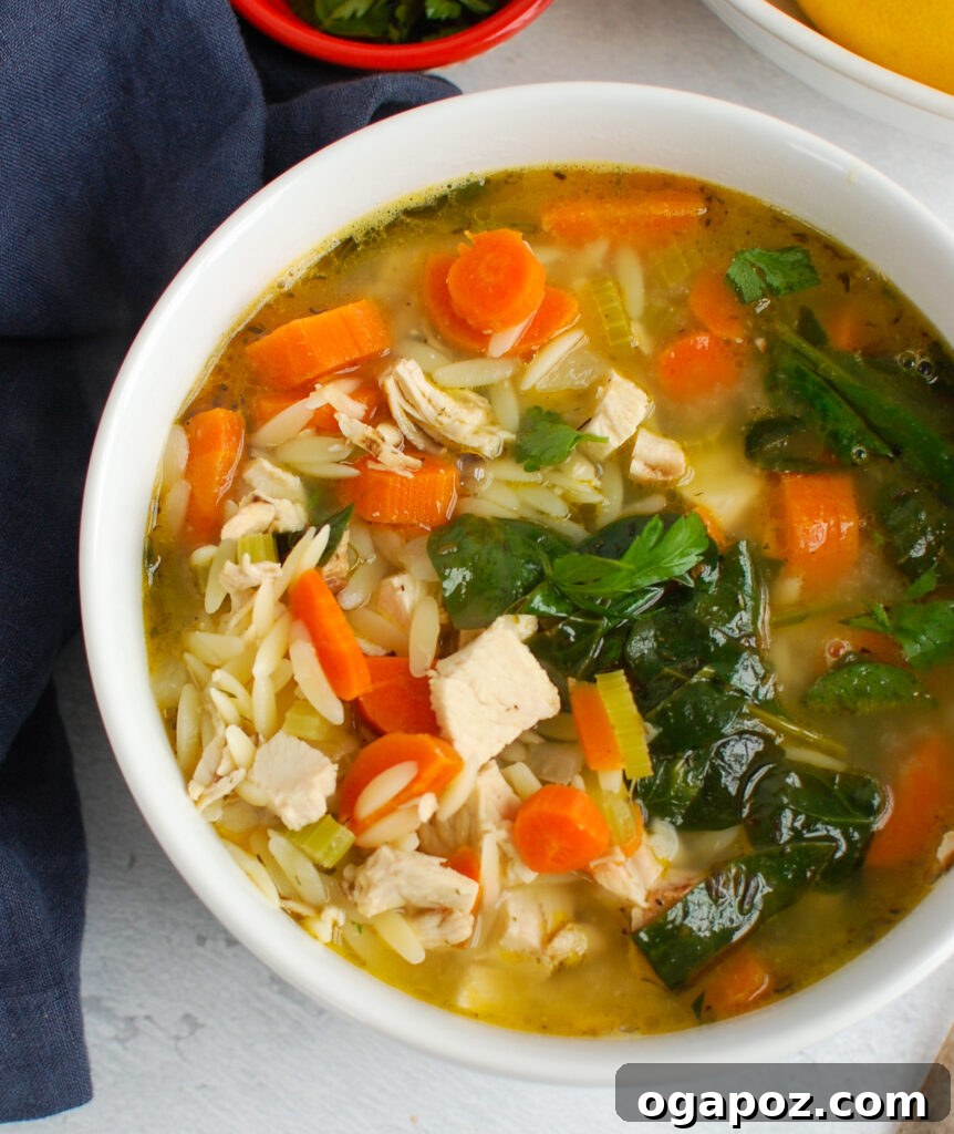 Zesty Lemon Chicken Orzo Soup 6 Lemon Chicken Orzo Soup garnished generously with fresh parsley, ready to serve.