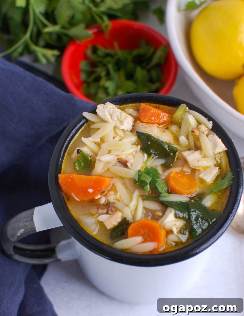 Zesty Lemon Chicken Orzo Soup 8 A close-up shot of Lemon Chicken Orzo Soup in a cup, ready to be enjoyed.