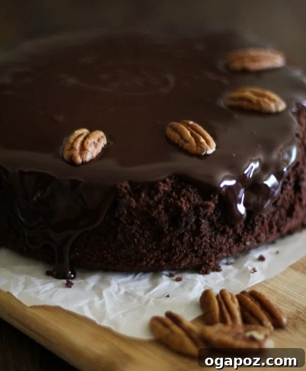 Ultimate Gluten-Free Chocolate Coconut Ganache Delight 4 Close-up of the moist gluten-free chocolate cake base, ready for its coconut-chocolate ganache topping.