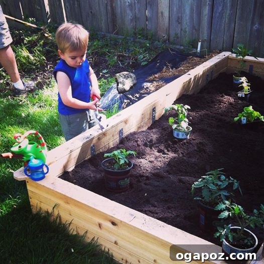 Vibrant Bulgur Salad with Cool Mint Yogurt Dressing 3 A young boy in a garden, helping plant vegetables, symbolizing fresh produce
