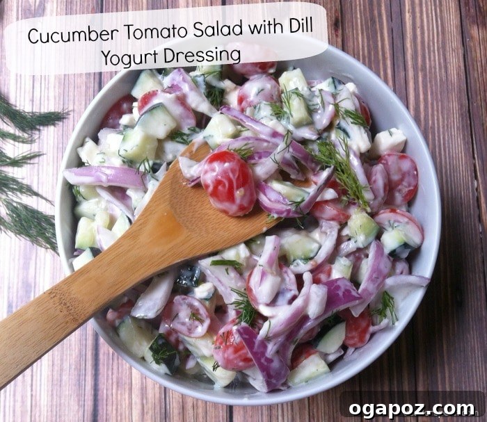 Vibrant Cucumber Tomato Salad with Zesty Dill Yogurt 2 Vibrant Cucumber Tomato Salad with Dill Yogurt Dressing ready to be served