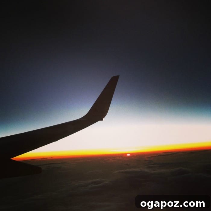 Vibrant Cucumber Tomato Salad with Zesty Dill Yogurt 3 Stunning sunset view from an airplane window over Miami