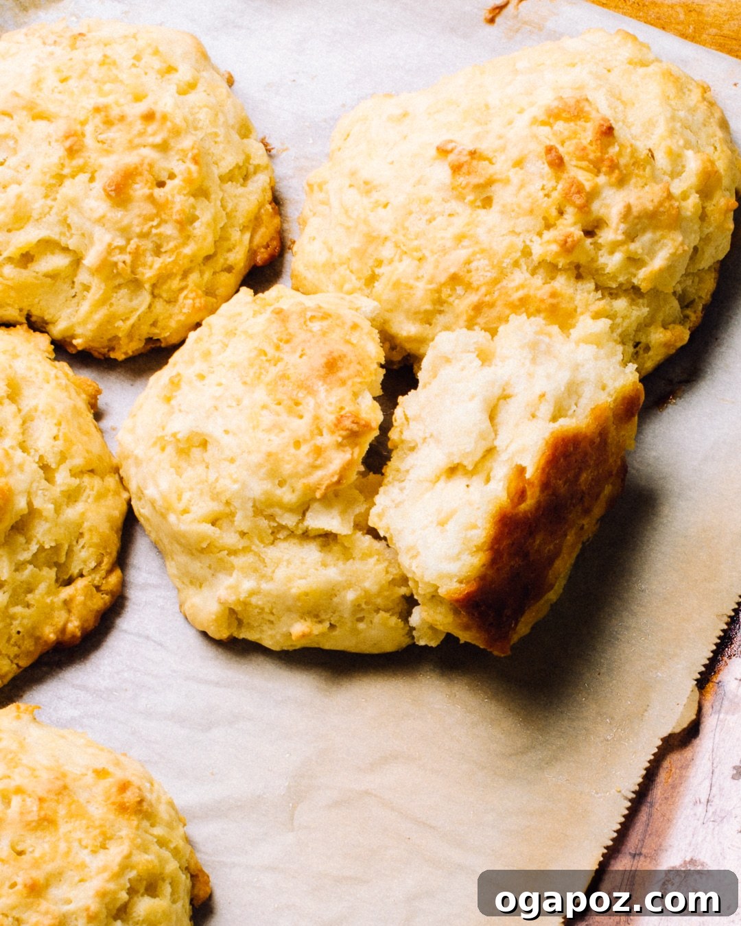 Freshly Baked Buttermilk Drop Biscuits on a Baking Sheet